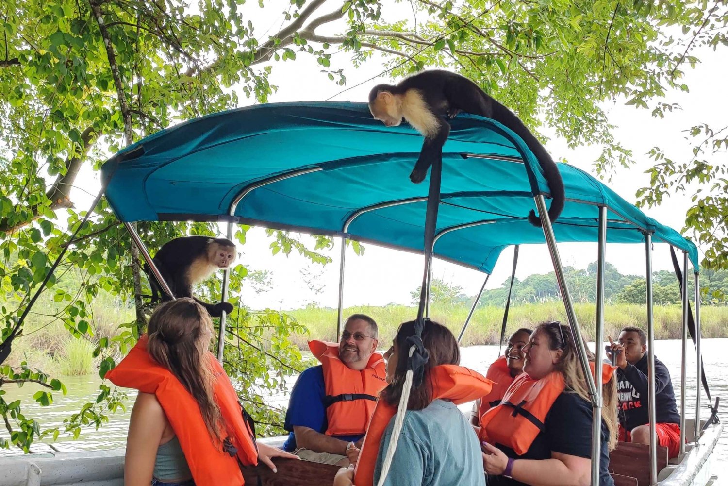 Excursión a la Isla de los Monos y Crucero Ecológico por el Canal de Panamá