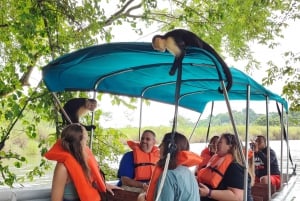 Circuit des îles aux singes et croisière écologique à l'intérieur du canal de Panama