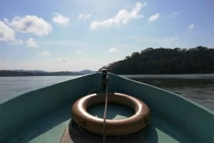 Monkey Island & Eco Cruise Tour inside the Panama Canal