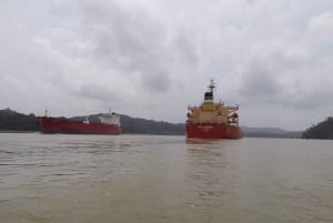 Excursión a la Isla de los Monos y Crucero Ecológico por el Canal de Panamá