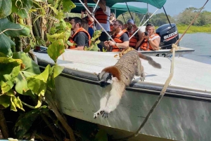 Monkey Island tour inside the Panama Canal