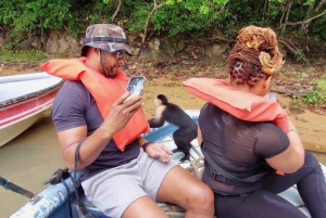 Monkey Island tour inside the Panama Canal