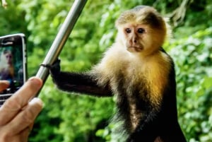 Excursión a la Isla de los Monos dentro del Canal de Panamá
