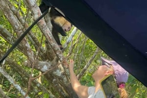 Monkey Island-tur inne i Panamakanalen