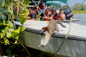 Monkey Island tour inside the Panama Canal