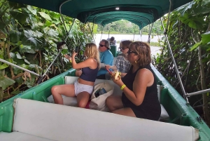 MONKEYS TOUR EXPERIENCE