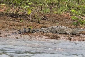 MONKEYS TOUR EXPERIENCE