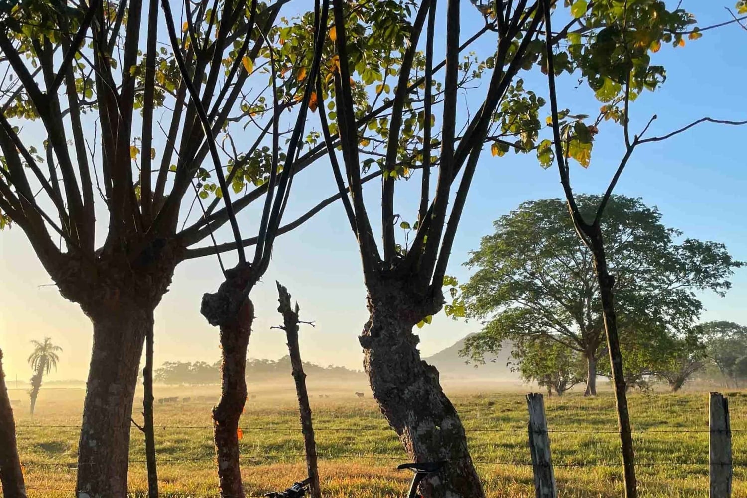 Mountain Bike Tour in David, Chiriquí, Panama