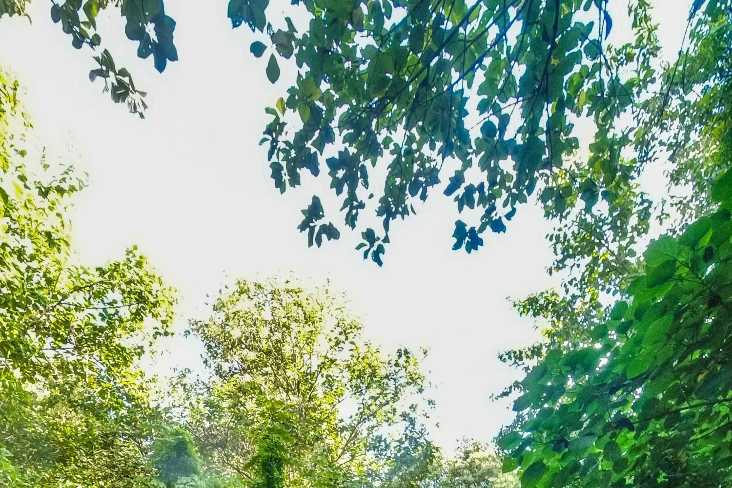 Mountain Bike Tour in David, Chiriquí, Panama