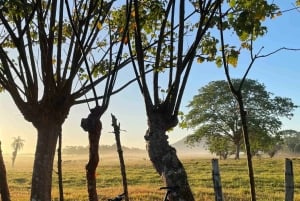 Mountain Bike Tour in David, Chiriquí, Panama