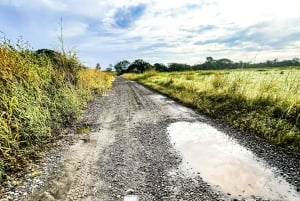 Mountain Bike Tour in David, Chiriquí, Panama