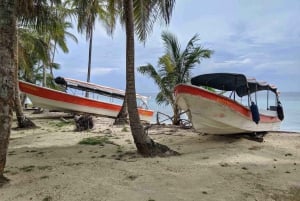 Overnight in San Blas Paradise - Private Room + Meals + Tour