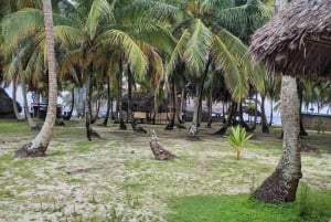 Overnight in San Blas - Private Room + Meals + Boat Tour