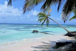Overnight in San Blas - Shared Cabin + Meals + Boat Tour
