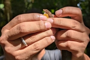 Panama: Accomodation and Safari in the Jungle