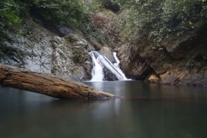 Panama: Accomodation and Safari in the Jungle