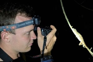 Panama: Accomodation and Safari in the Jungle