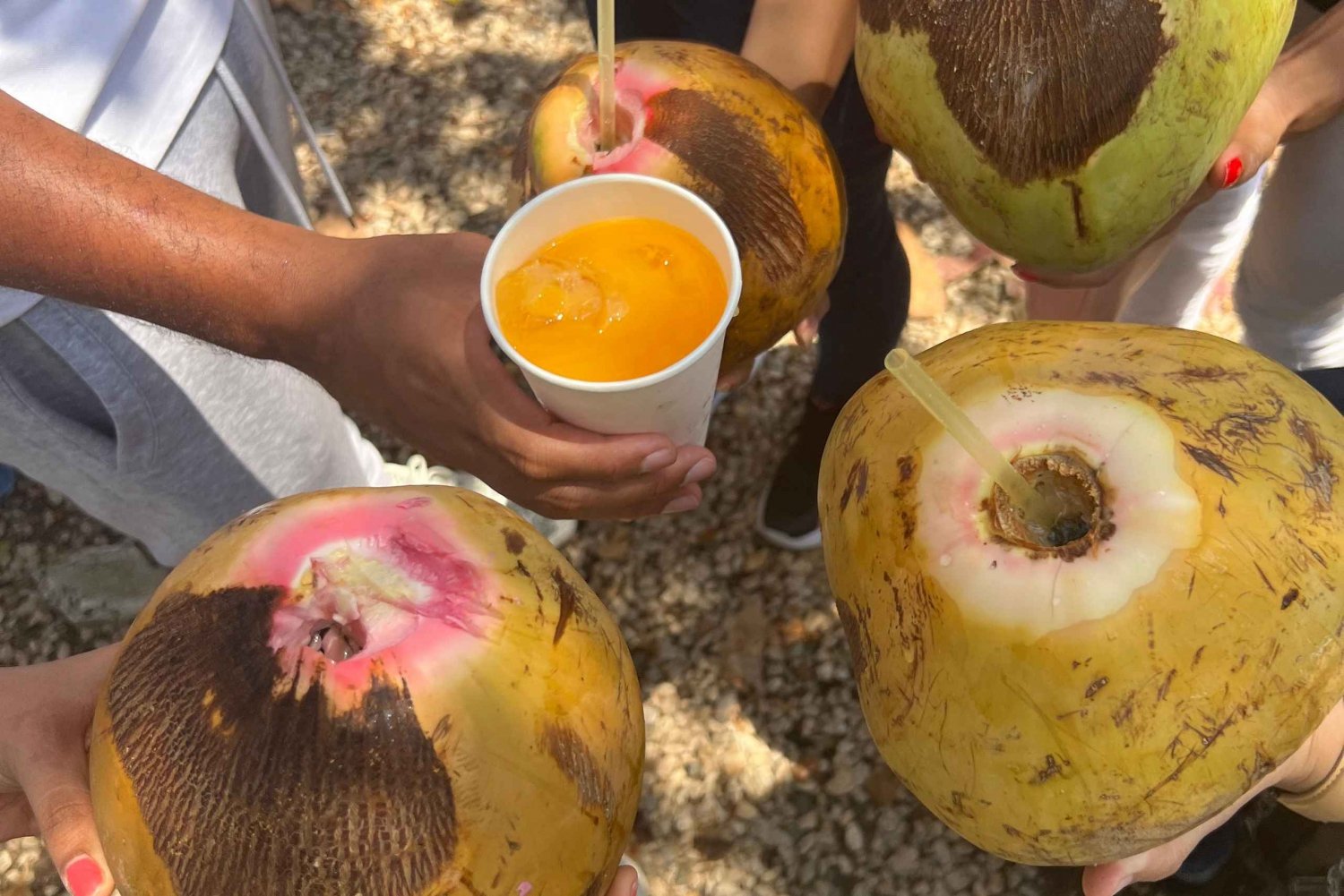 Panama: Wycieczka rowerowa Causeway z degustacją potraw