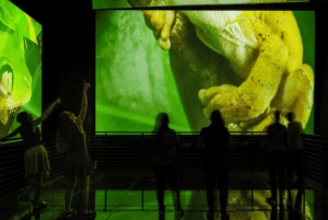 Panama: Bellissimo BioTour