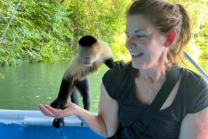 Panamá: Båttur och djurliv på Gatun-sjön