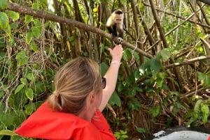 Panamá: Rondvaart en wilde dieren op het Gatun meer