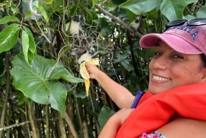 Panamá: Bootstour und Tierwelt auf dem Gatun-See