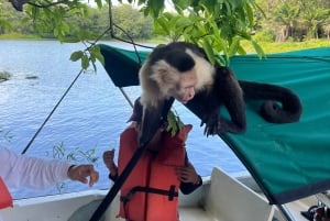 Panamá : Tour en bateau et faune sur le lac Gatun