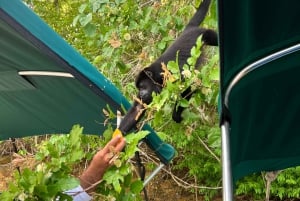 Panamá: Rondvaart en wilde dieren op het Gatun meer