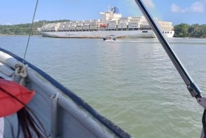 Panamá: Boat Tour and wildlife on the Gatun Lake