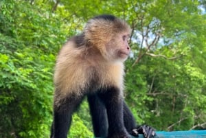 Panamá : Tour en bateau et faune sur le lac Gatun