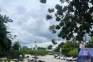 Panamakanalen, Karibien och Colón 2000 – shoppingtur