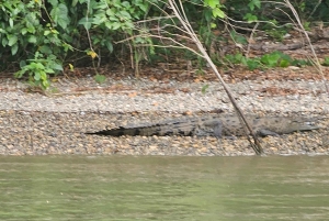 Panama Canal Fast Boat tour Adventure & Canal Visitor Center
