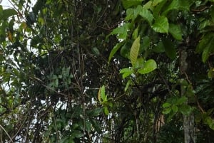 Panama Canal Fast Boat tour Adventure & Canal Visitor Center
