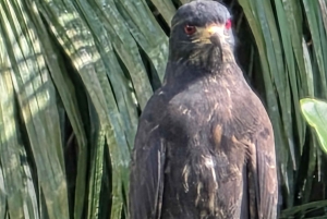 Panama Canal Fast Boat tour Adventure & Canal Visitor Center