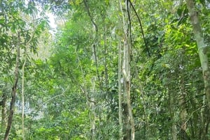 Panama Canal Fast Boat tour Adventure & Canal Visitor Center