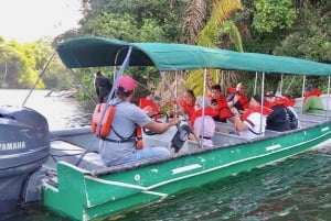 Tour delle chiuse di Miraflores e dell'Isola delle Scimmie del Canale di Panama