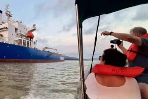 Tour delle chiuse di Miraflores e dell'Isola delle Scimmie del Canale di Panama