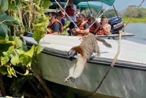 Excursão às Eclusas de Miraflores e à Ilha dos Macacos do Canal do Panamá