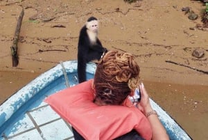 Panamakanalens Miraflores-slussar och rundtur på Monkey Island