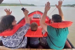 Tour delle chiuse di Miraflores e dell'Isola delle Scimmie del Canale di Panama