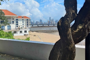 Tour de medio día por el Canal de Panamá y la Ciudad Vieja