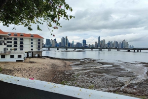 Tour de medio día por el Canal de Panamá y la Ciudad Vieja