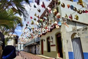 Privérondleiding door het Panamakanaal, de oude binnenstad, panoramische en Amador Causeway