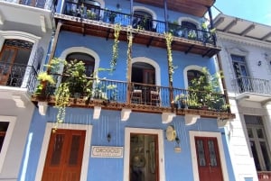 Visite privée du canal de Panama, de la vieille ville, de la chaussée panoramique et d'Amador