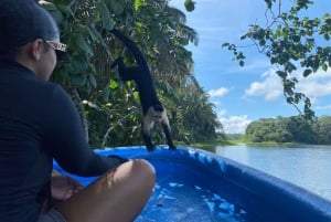 Canal do Panamá: passeio particular de barco e vida selvagem no Lago Gatun