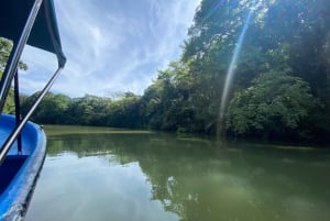 Canale di Panama: tour privato in barca e con la fauna selvatica sul lago Gatun