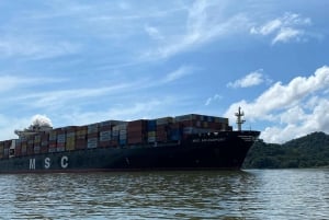 Canal do Panamá: passeio particular de barco e vida selvagem no Lago Gatun