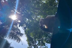 Canal de Panamá: Tour Privado en barco y vida silvestre en el lago Gatún