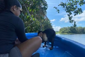 Canal de Panama : excursion privée en bateau et faune sur le lac Gatun