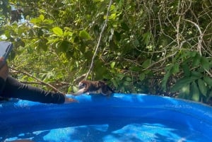 Canal de Panama : excursion privée en bateau et faune sur le lac Gatun